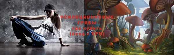 гидра Бугульма