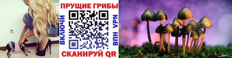 это наркотические препараты  Электроугли  Галлюциногенные грибы Cubensis 